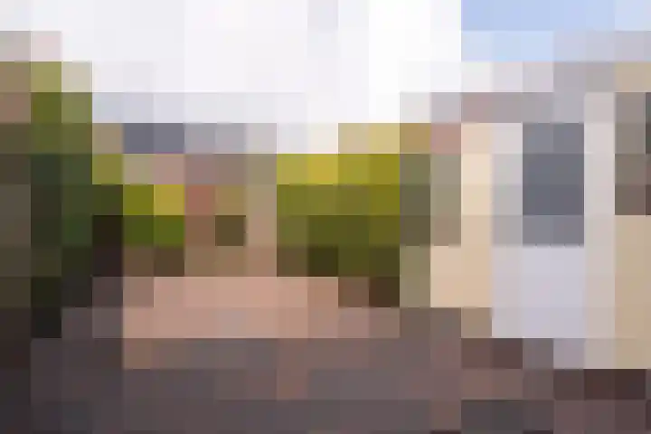 Houtduifstraat 11 Veendam thumbnail 5
