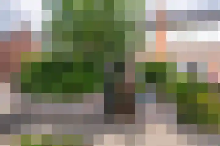 Houtduifstraat 11 Veendam thumbnail 7
