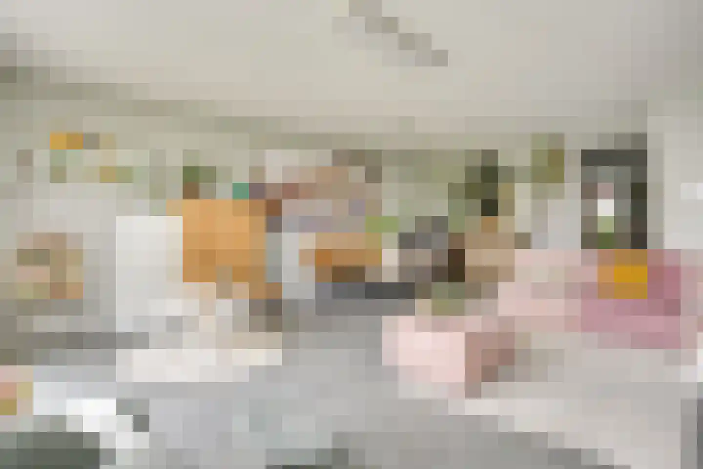 Houtduifstraat 13 Sterksel thumbnail 12