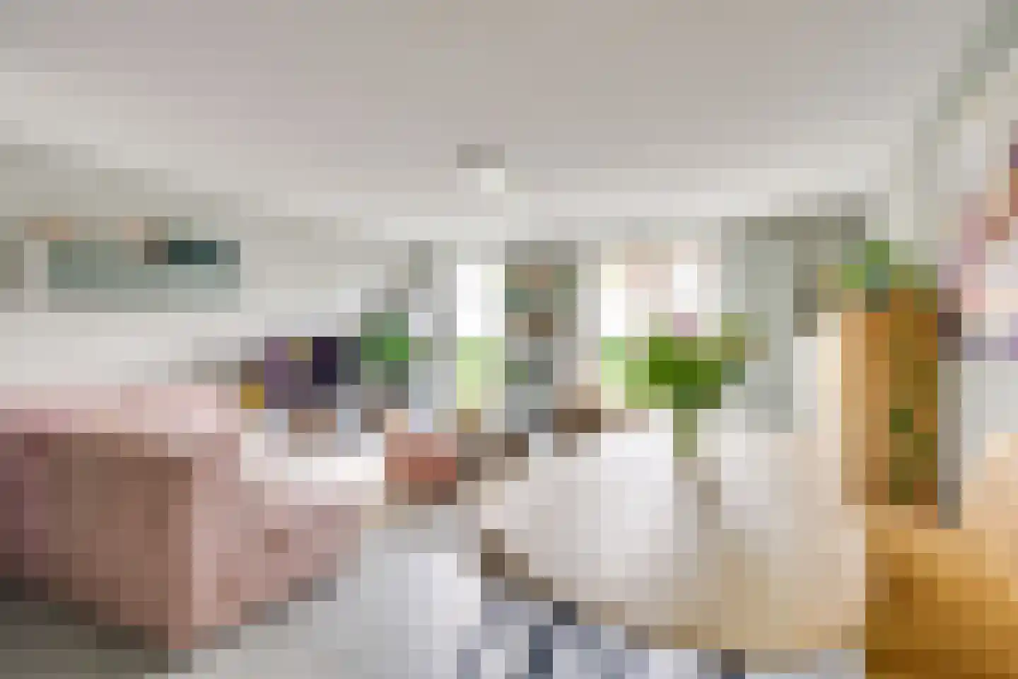 Houtduifstraat 13 Sterksel thumbnail 14