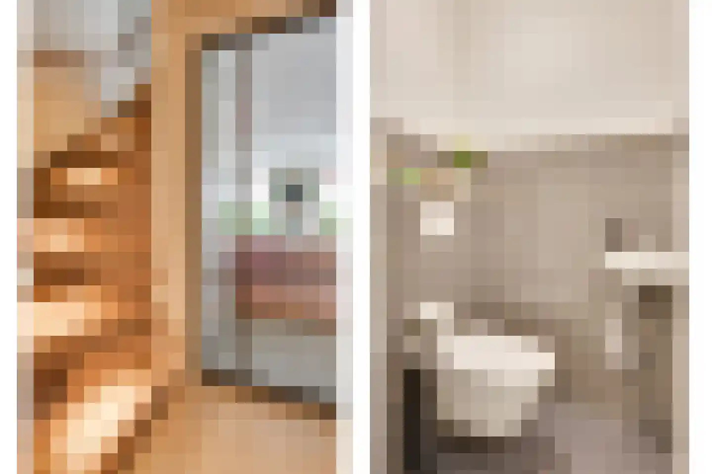 Houtduifstraat 13 Sterksel thumbnail 17