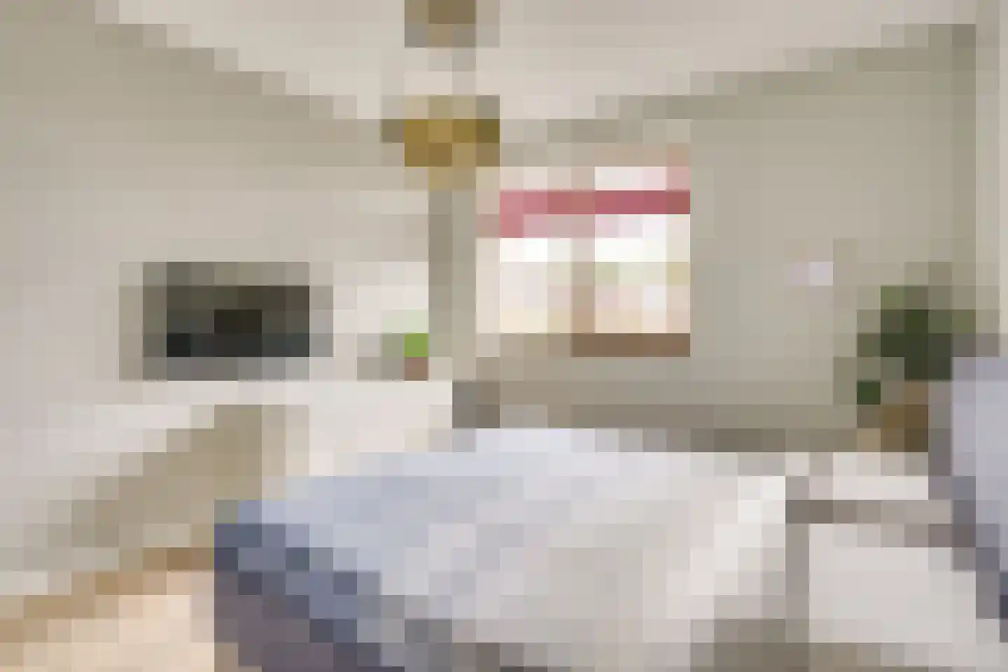 Houtduifstraat 13 Sterksel thumbnail 19
