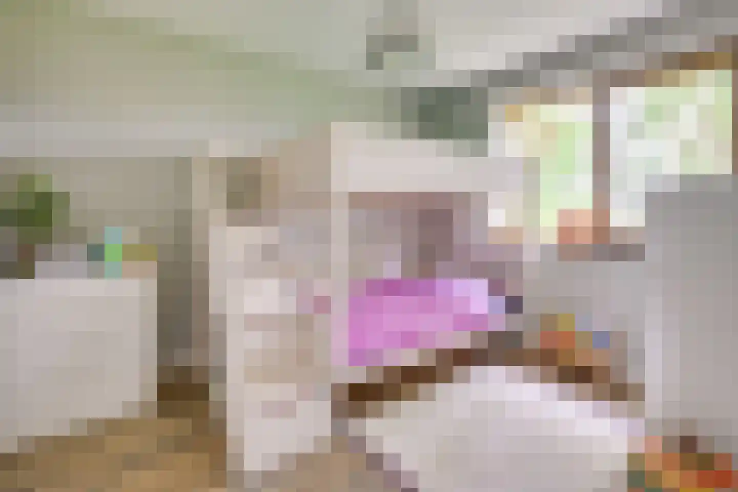 Houtduifstraat 13 Sterksel thumbnail 20