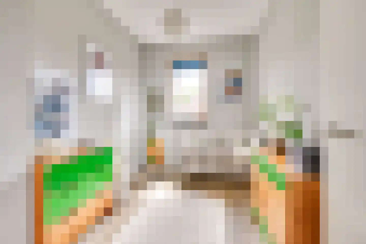 Houtduifstraat 13 Sterksel thumbnail 21