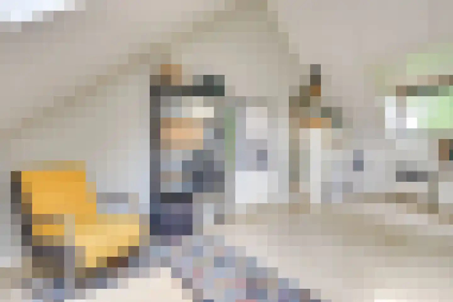 Houtduifstraat 13 Sterksel thumbnail 25
