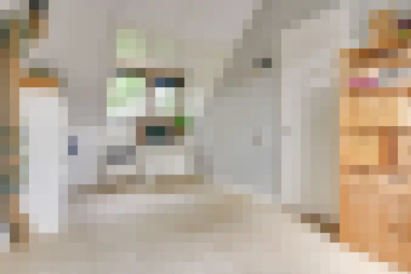 Houtduifstraat 13 Sterksel thumbnail 26