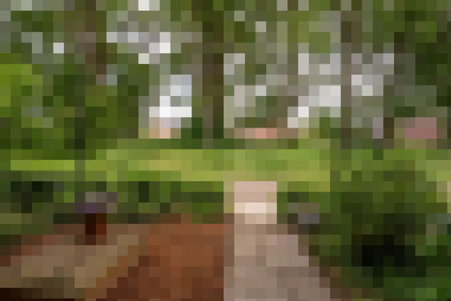 Houtduifstraat 13 Sterksel thumbnail 7