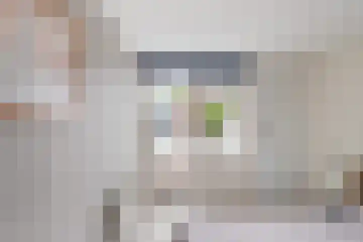 Houtduifstraat 21 Alkmaar thumbnail 23