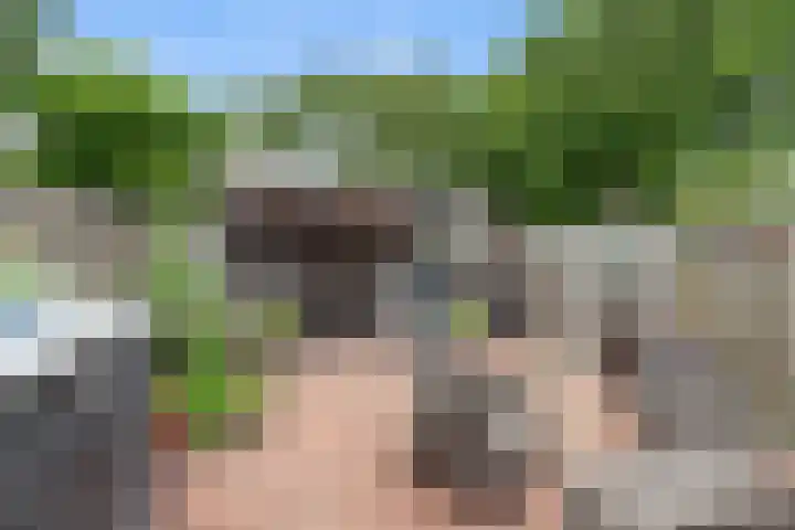Houtduifstraat 21 Alkmaar thumbnail 4