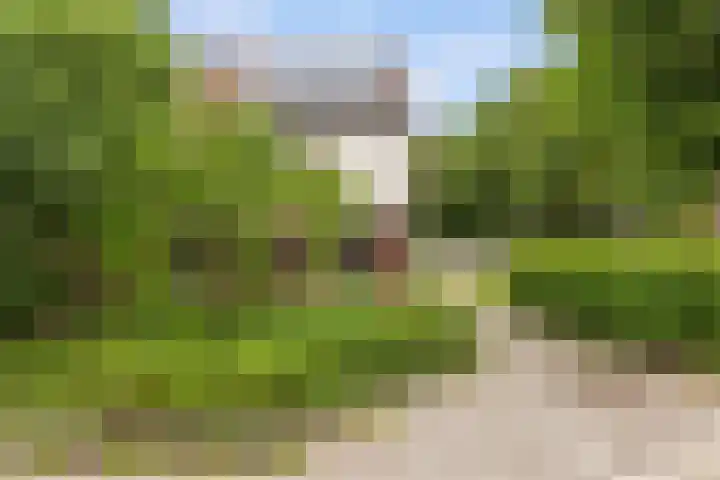 Houtduifstraat 21 Alkmaar thumbnail 5
