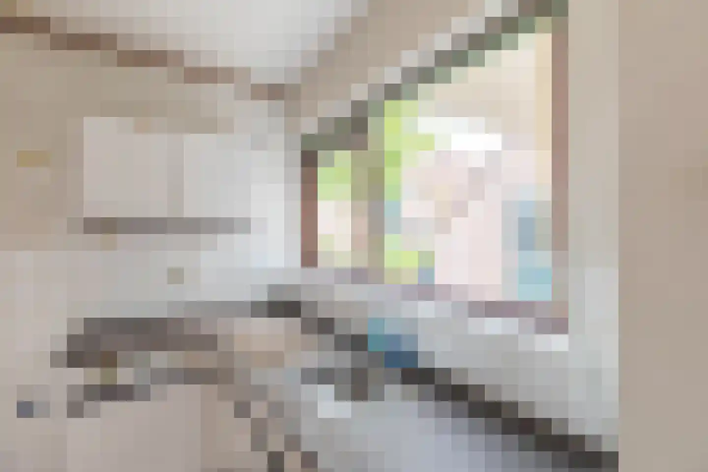 Houtduifstraat 24 Alkmaar thumbnail 10