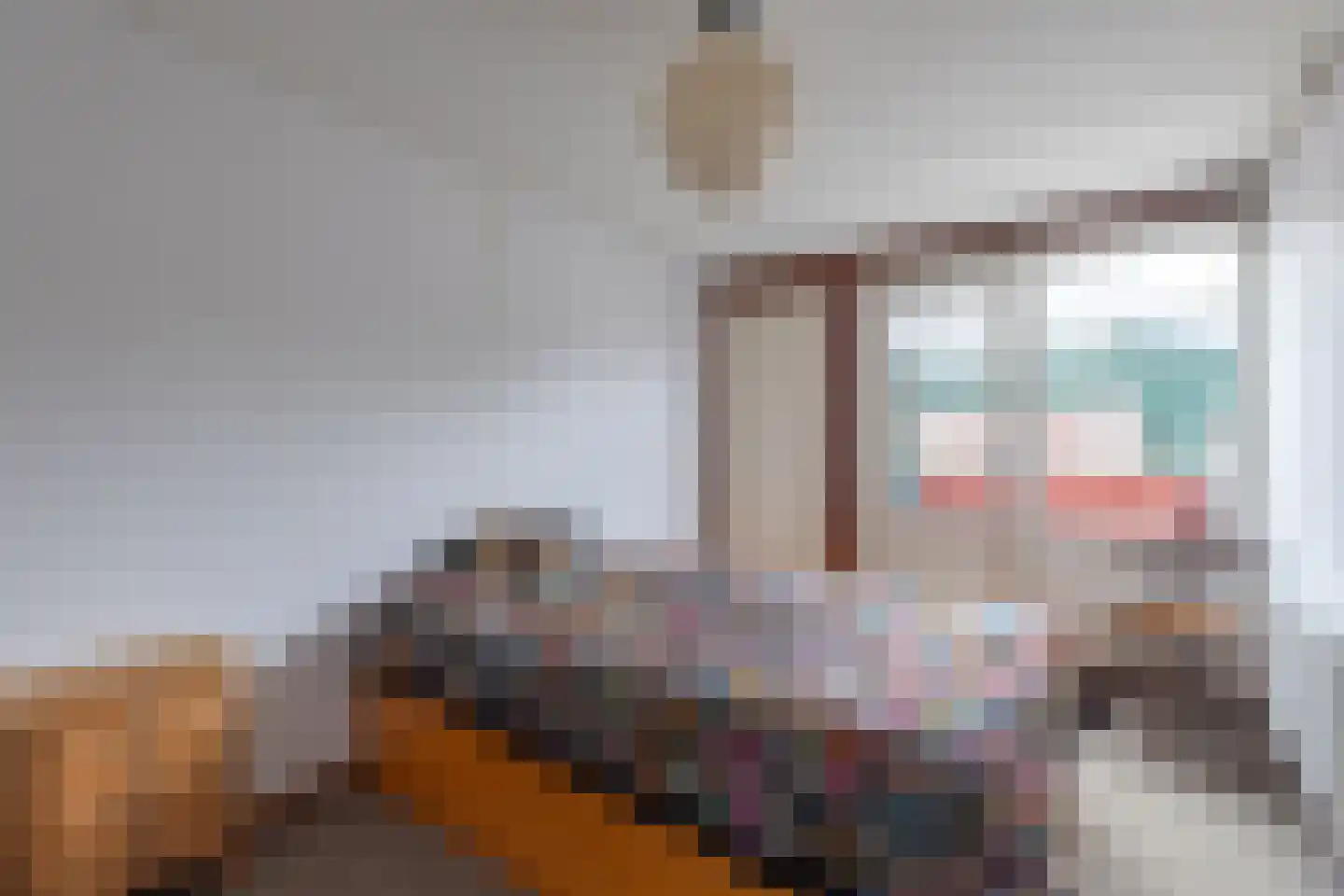Houtduifstraat 24 Alkmaar thumbnail 13