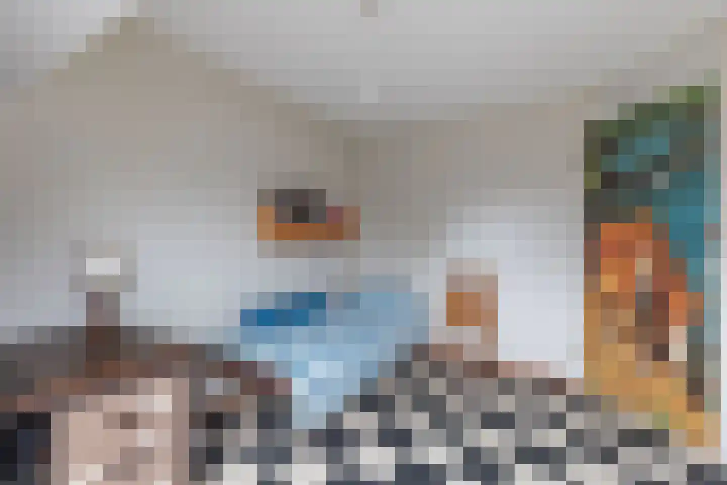 Houtduifstraat 24 Alkmaar thumbnail 19