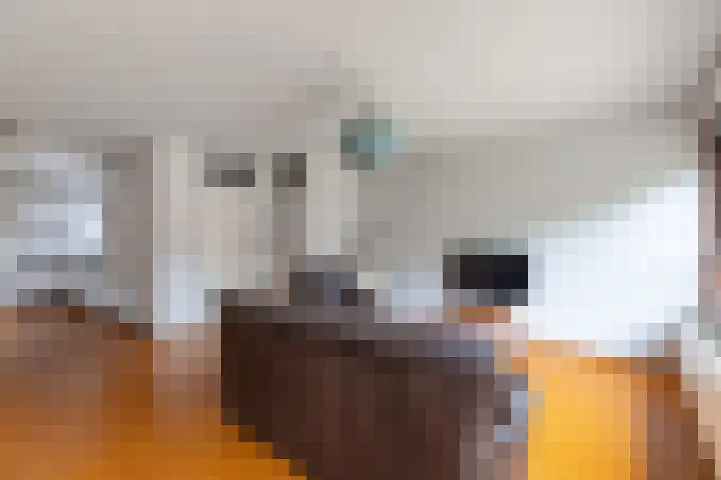 Houtduifstraat 24 Alkmaar thumbnail 4