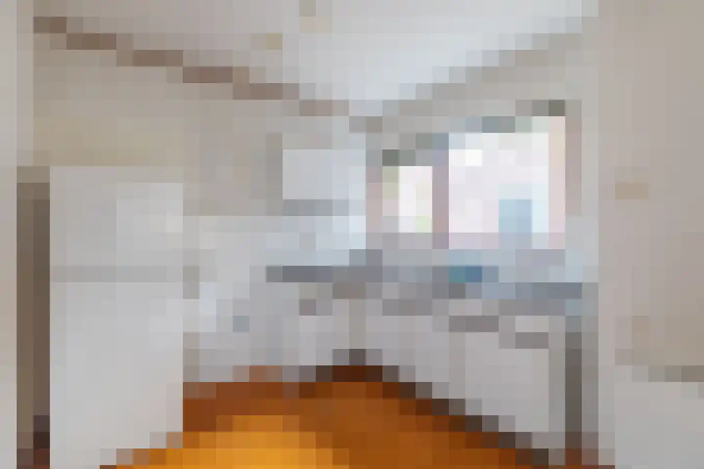 Houtduifstraat 24 Alkmaar thumbnail 9