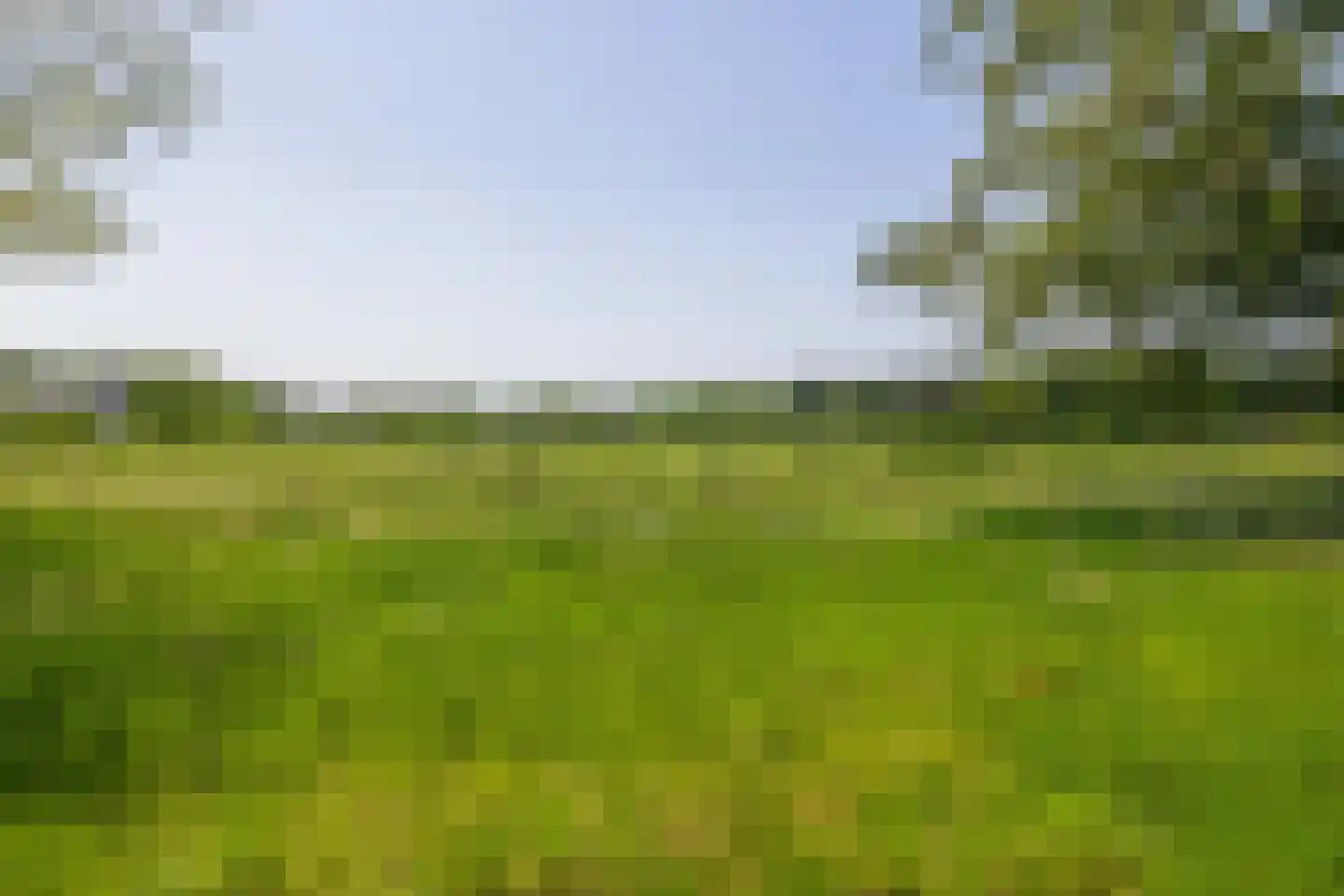 Houtduifstraat 7 Sterksel thumbnail 38
