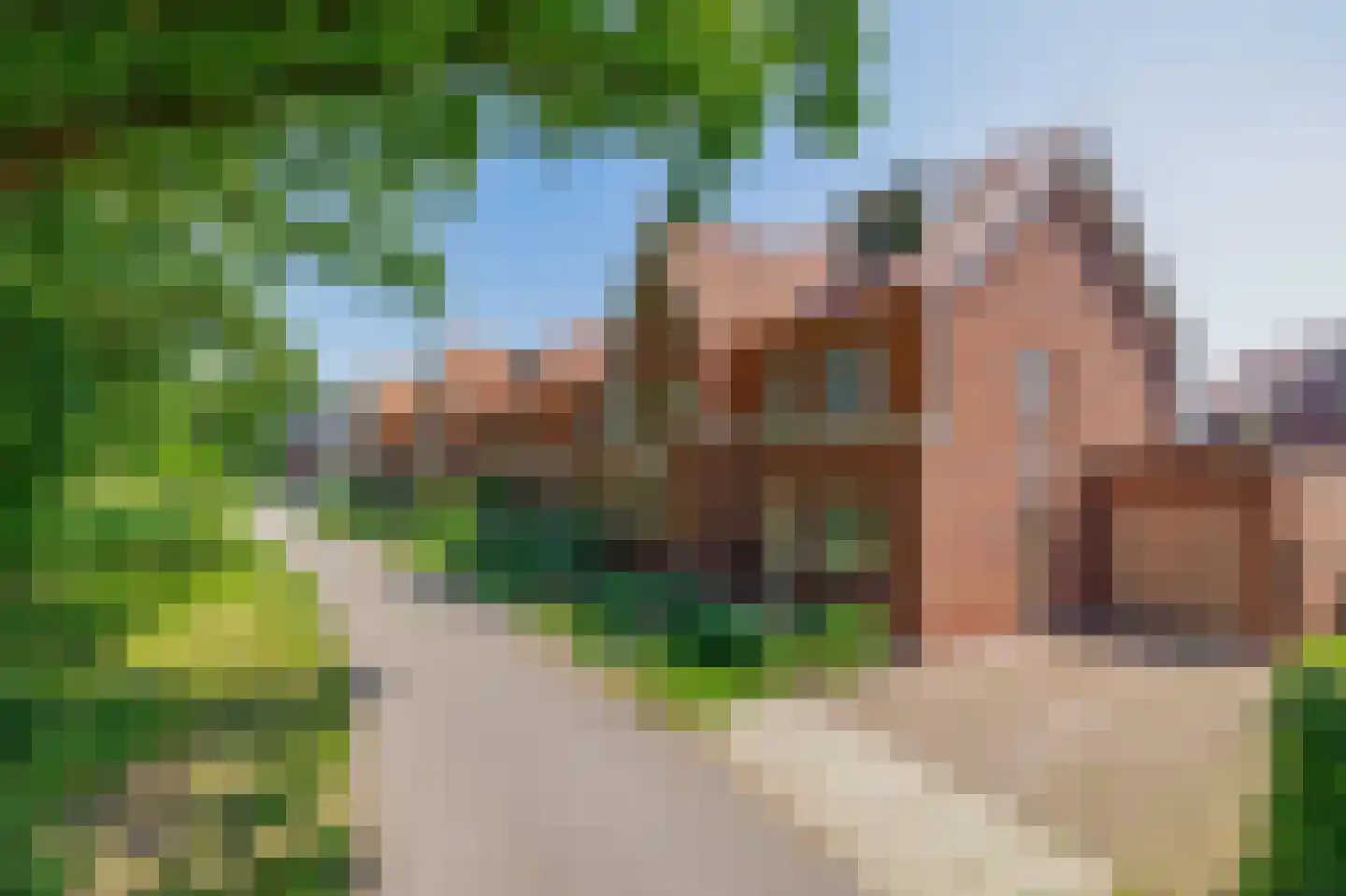 Houtduifstraat 7 Sterksel thumbnail 6