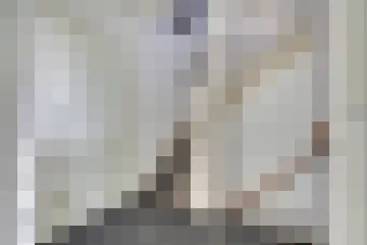 Houtduivenhof 10 Silvolde thumbnail 15
