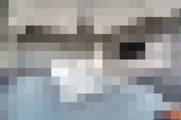 Houtduivenhof 10 Silvolde thumbnail 18