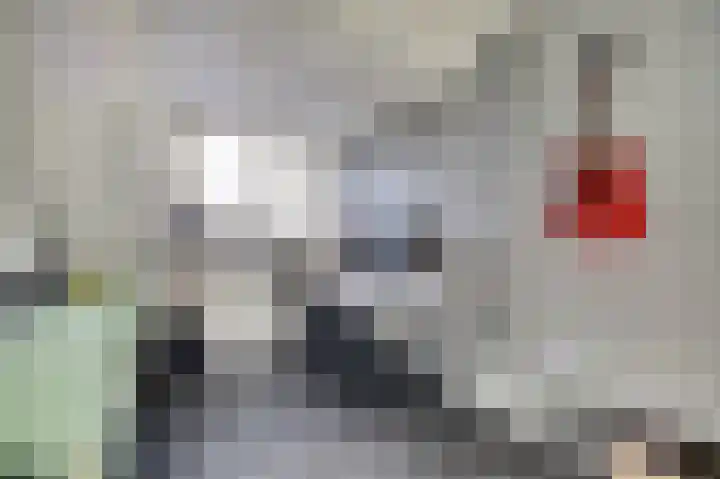 Houtduivenhof 10 Silvolde thumbnail 21