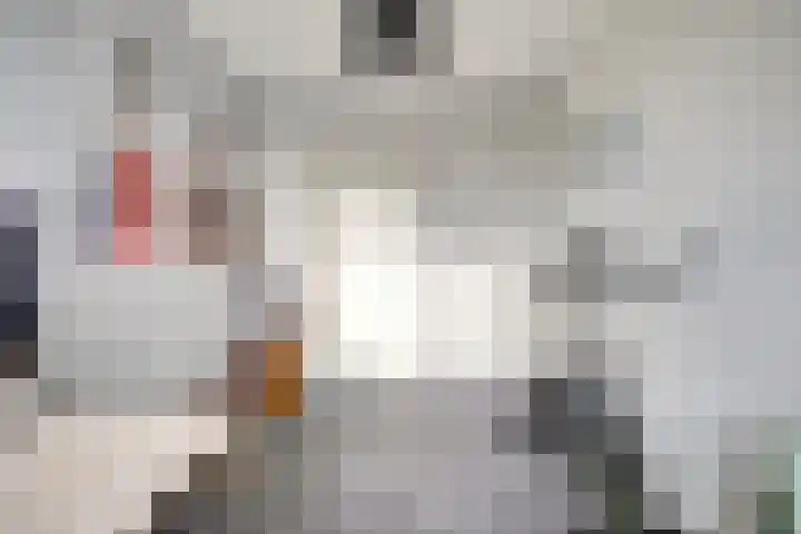 Houtduivenhof 10 Silvolde thumbnail 22