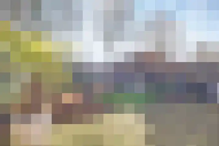 Houtduivenhof 10 Silvolde thumbnail 33