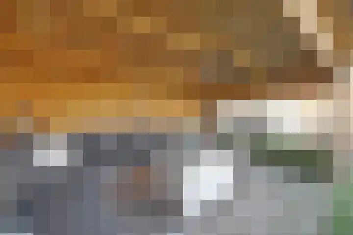 Houtduivenhof 10 Silvolde thumbnail 35