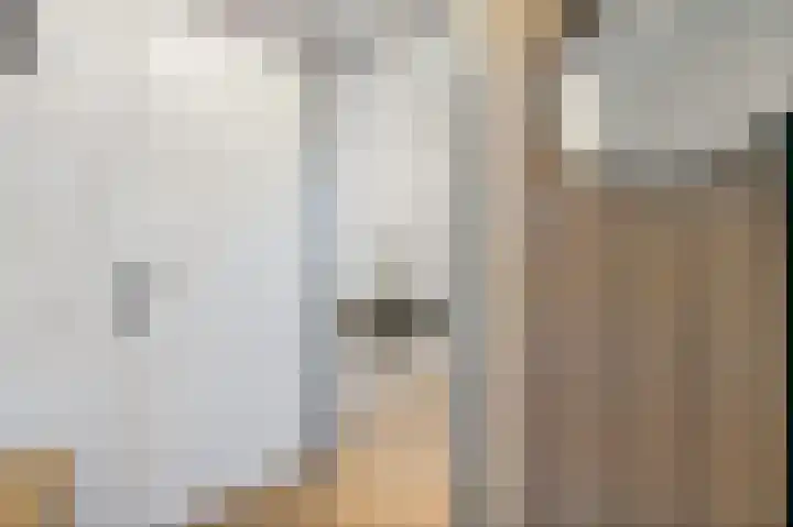 Houten Baak 13 Maassluis thumbnail 10
