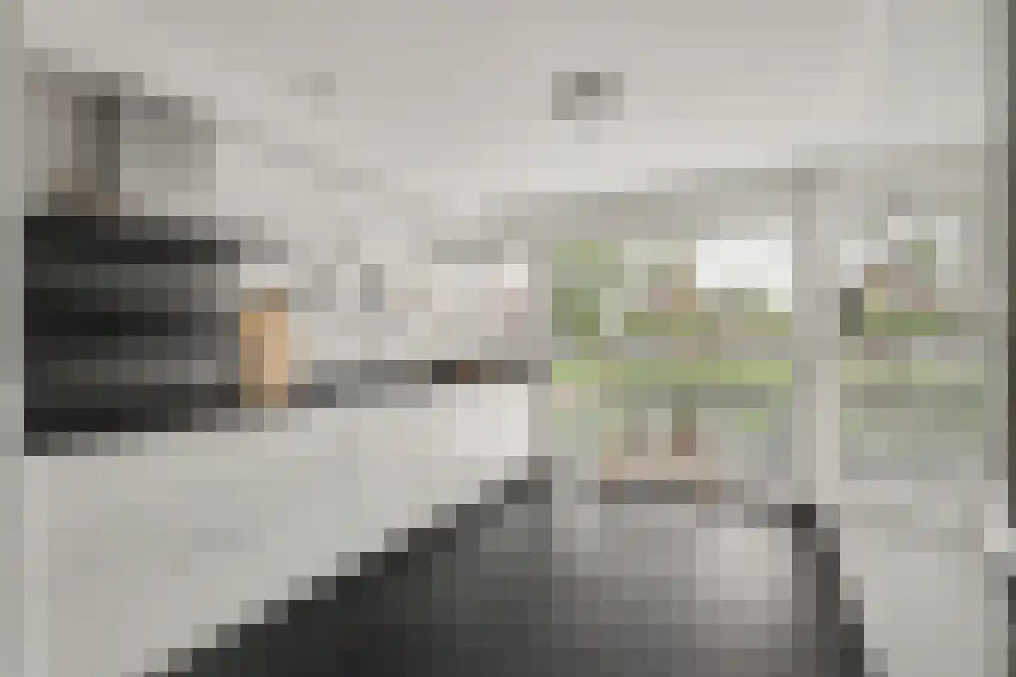 Houtenend 21 Dordrecht thumbnail 31