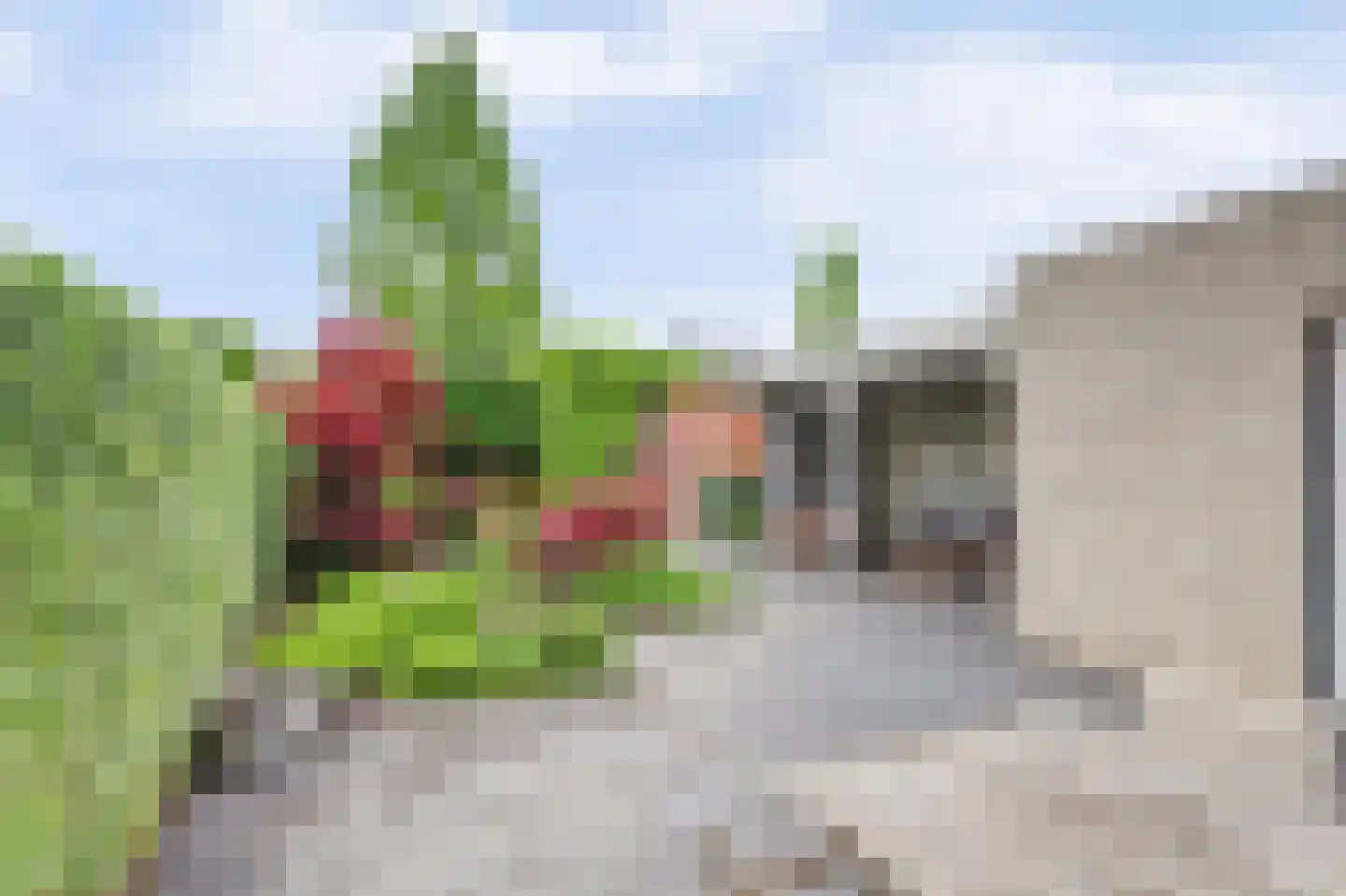 Houtenend 21 Dordrecht thumbnail 61