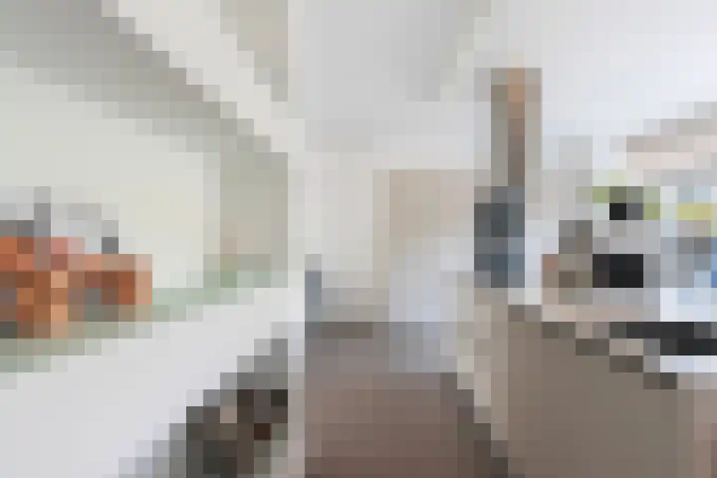 Houtenend 46 Dordrecht thumbnail 23