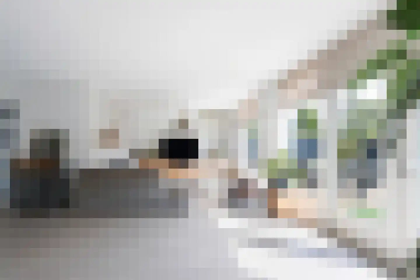 Houtenend 46 Dordrecht thumbnail 7