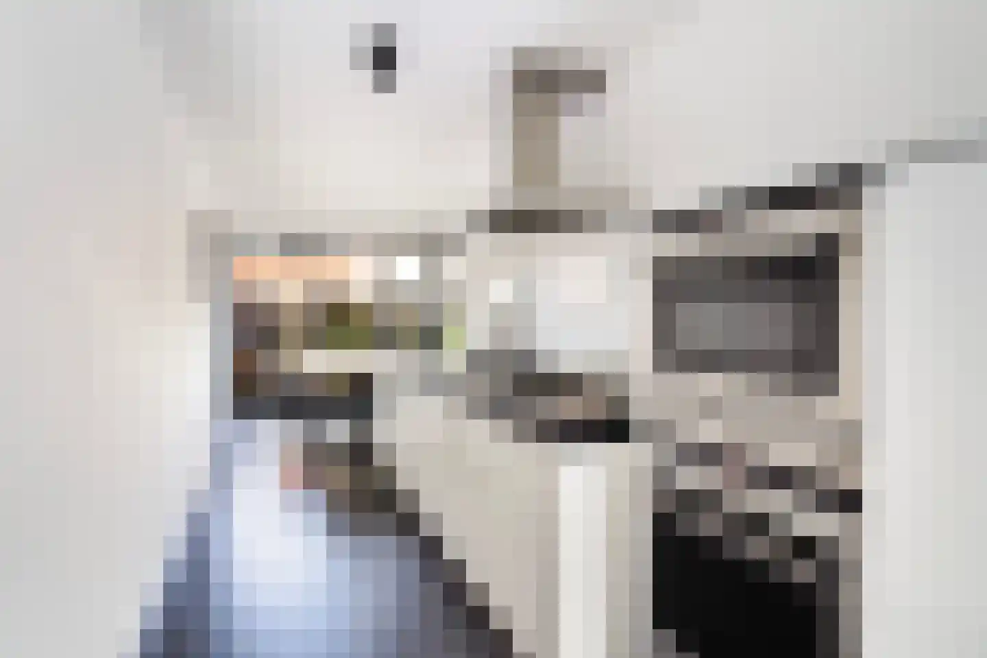 Houtenend 6 Dordrecht thumbnail 22