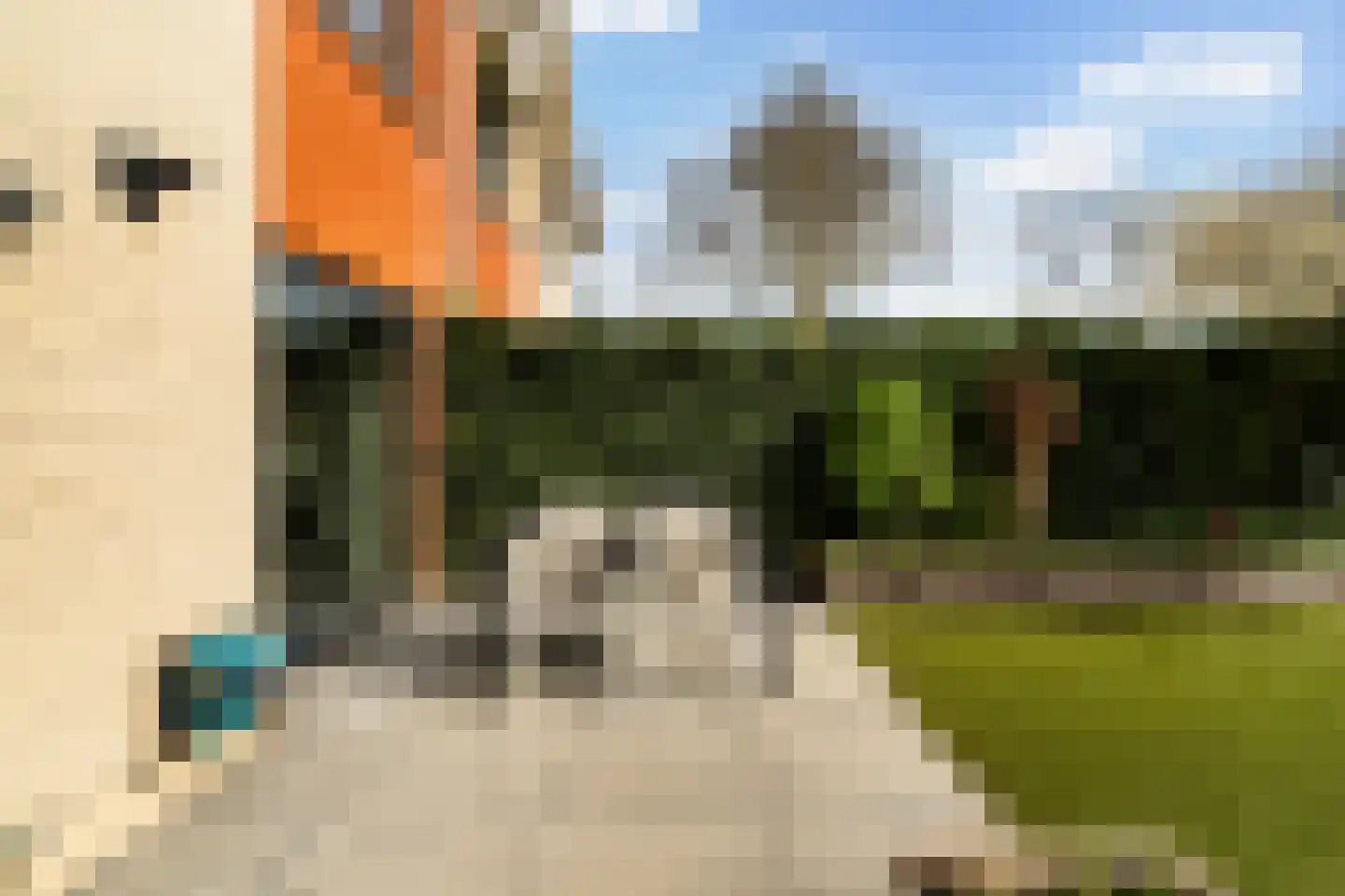 Houtenend 6 Dordrecht thumbnail 53