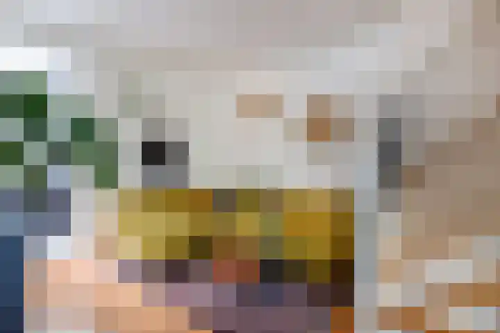 Houtensepad 17 Utrecht thumbnail 12