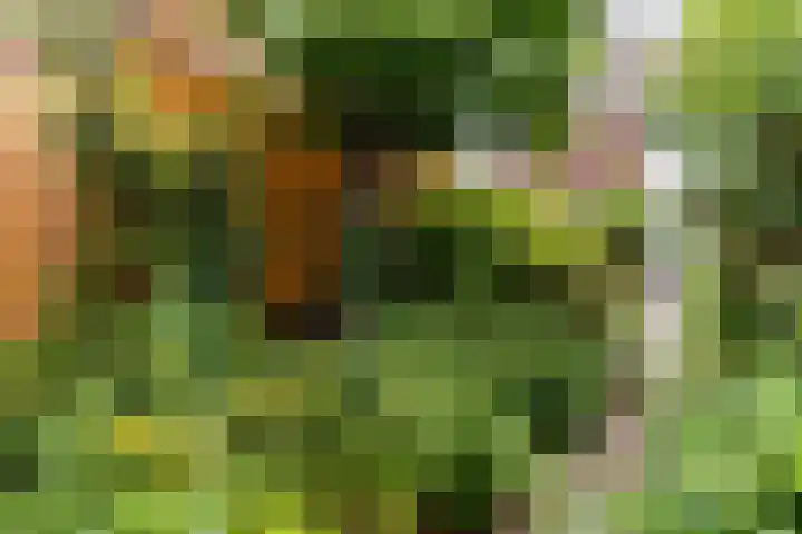 Houtensepad 17 Utrecht thumbnail 22