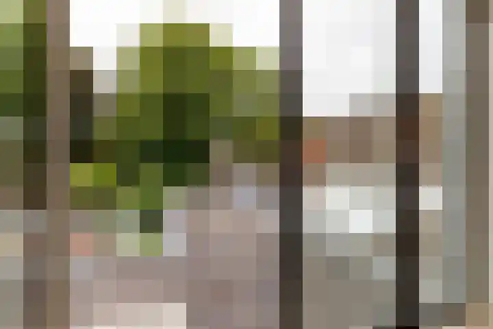 Houtensepad 17 Utrecht thumbnail 25