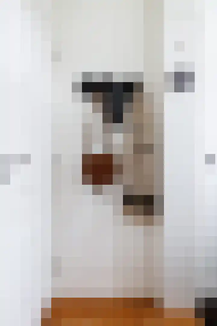 Houtensepad 17 Utrecht thumbnail 7