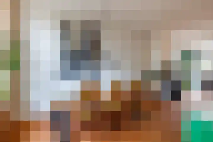 Houtensepad 17 Utrecht thumbnail 8