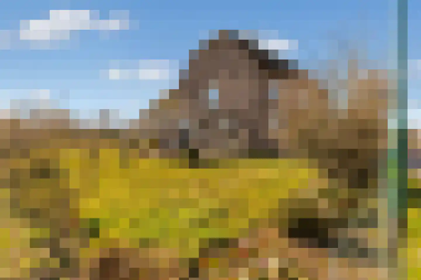 Houtensewetering 41 Houten thumbnail 38