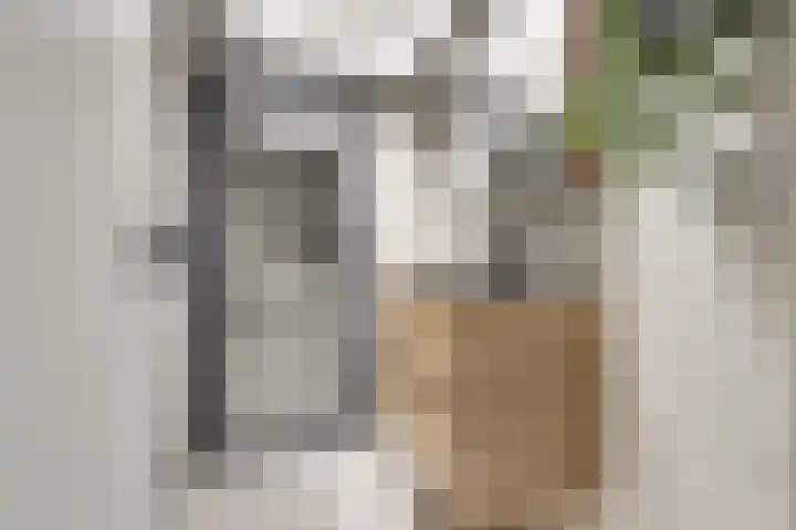 Houtenstraat 11 Gouda thumbnail 4