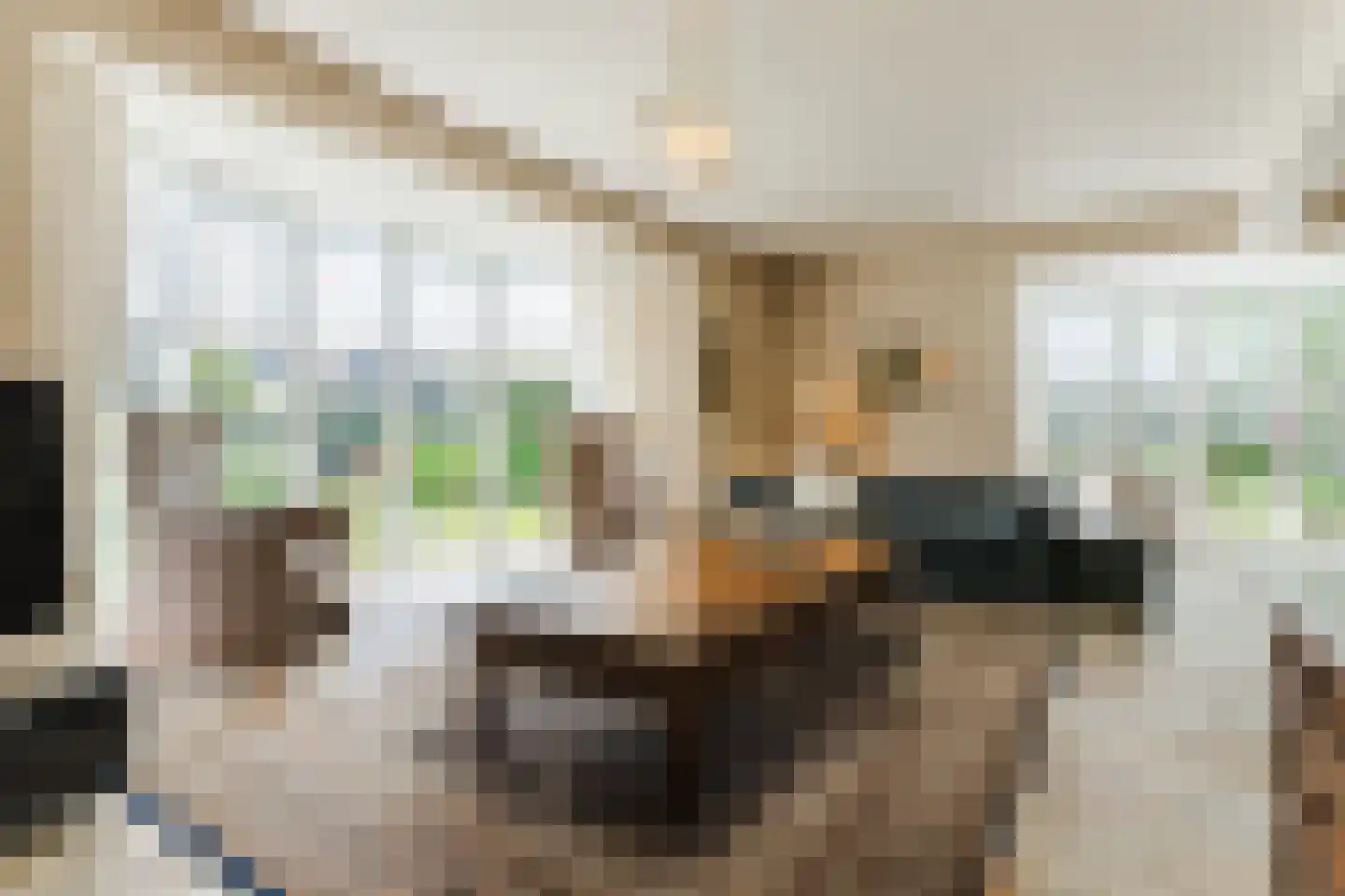 Houterbrugweg 15 Geldrop thumbnail 13