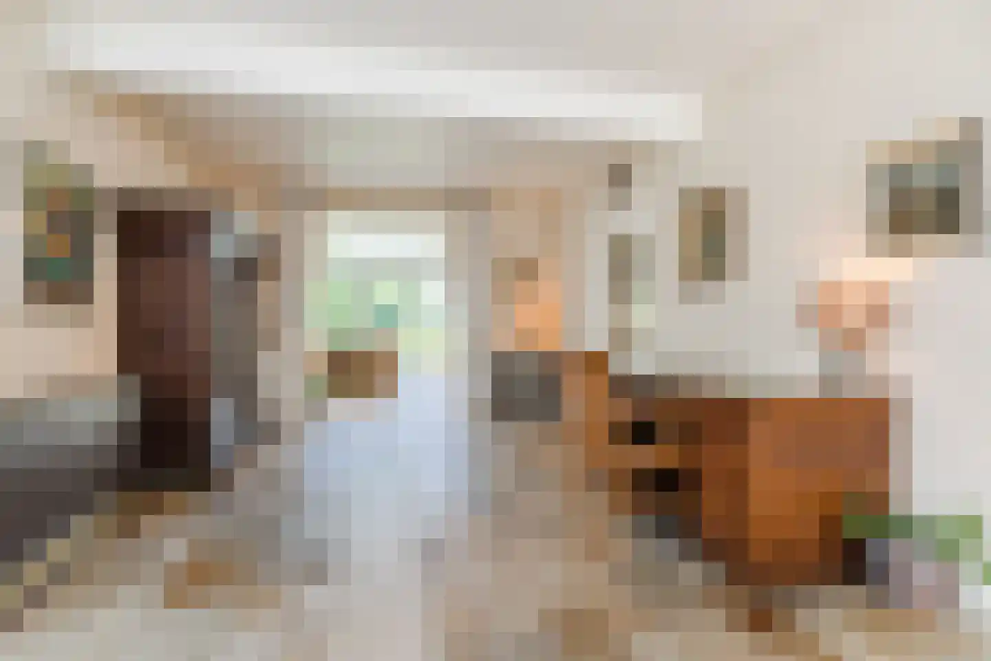 Houterbrugweg 15 Geldrop thumbnail 17