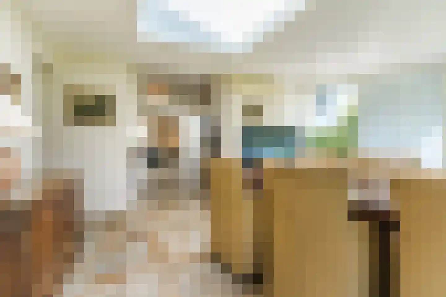 Houterbrugweg 15 Geldrop thumbnail 21