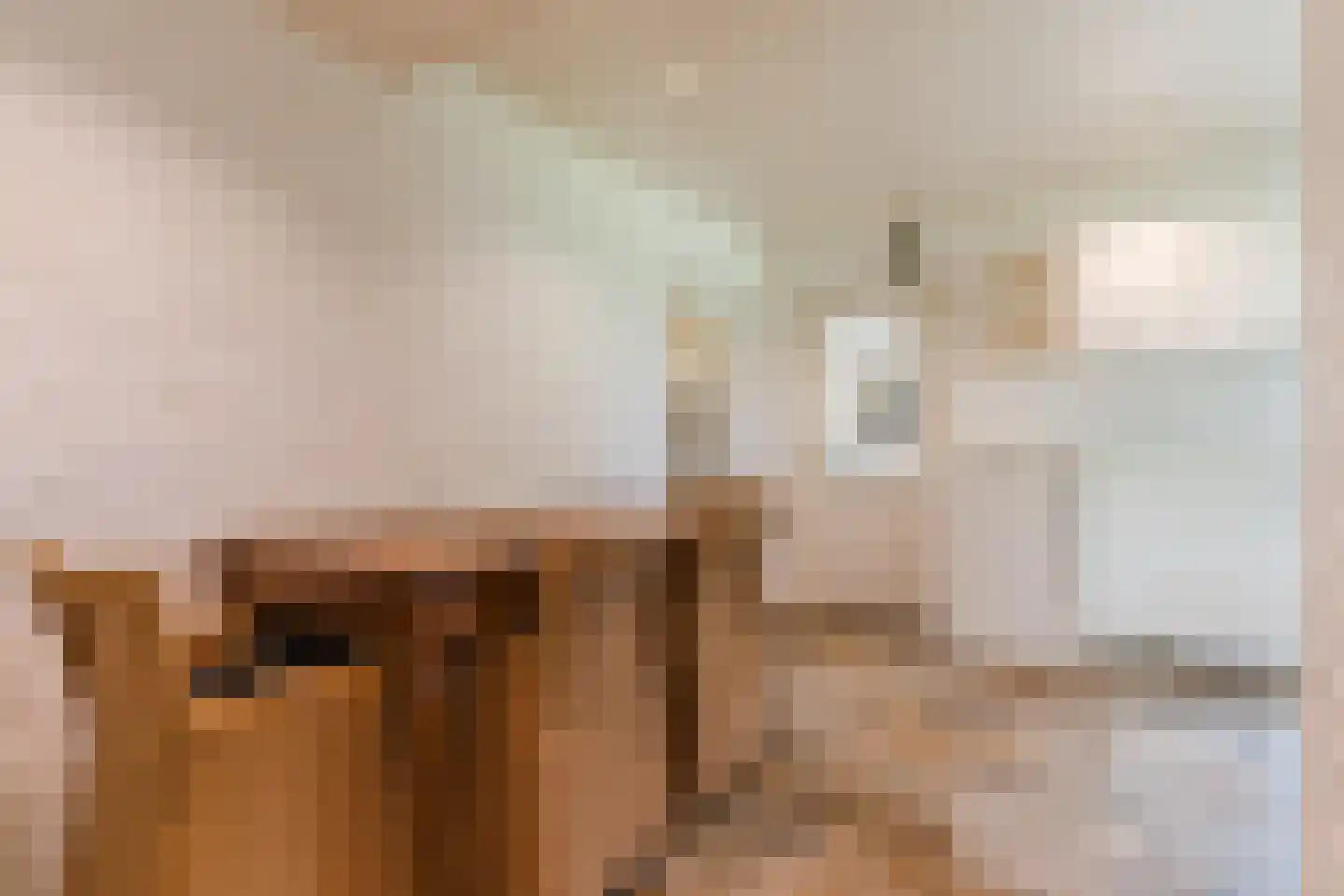 Houterbrugweg 15 Geldrop thumbnail 22