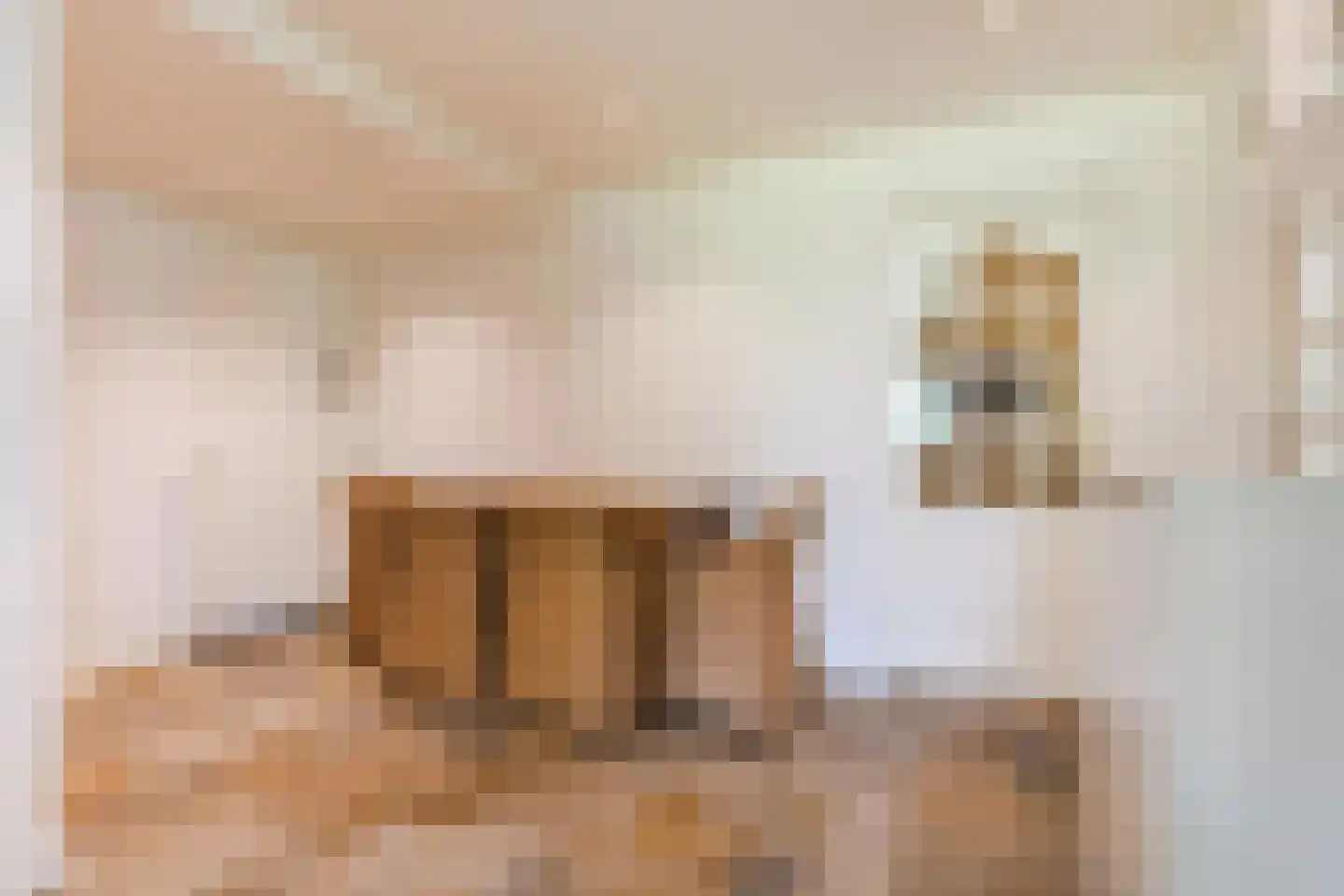 Houterbrugweg 15 Geldrop thumbnail 23