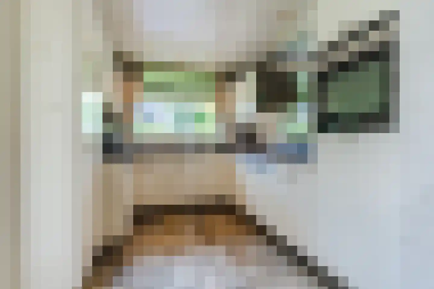 Houterbrugweg 15 Geldrop thumbnail 25