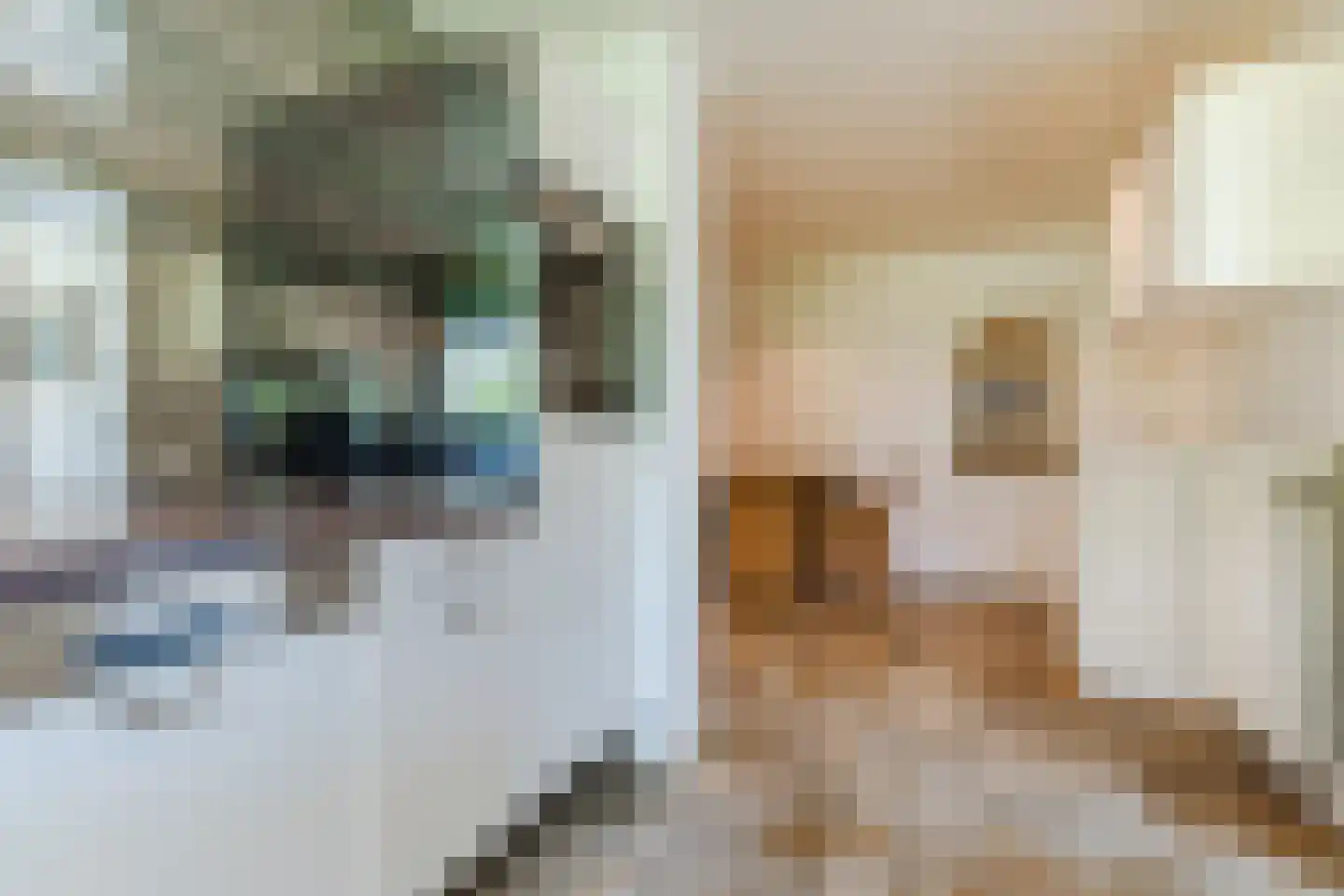 Houterbrugweg 15 Geldrop thumbnail 27