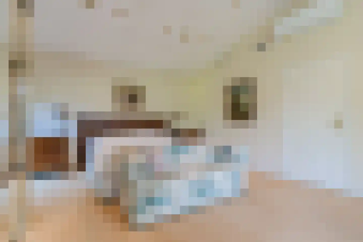 Houterbrugweg 15 Geldrop thumbnail 32