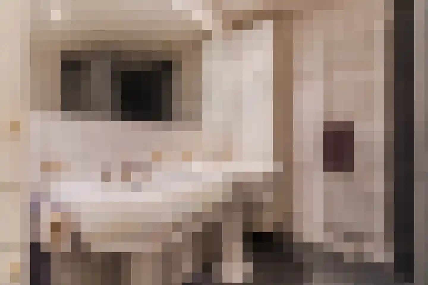 Houterbrugweg 15 Geldrop thumbnail 36